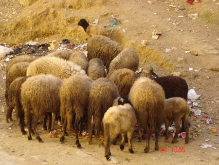 voila l'économie marocainne